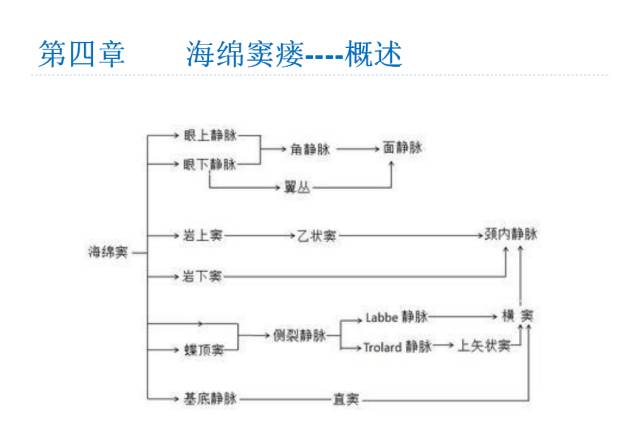 【PPT】颅脑血管性疾病影像学