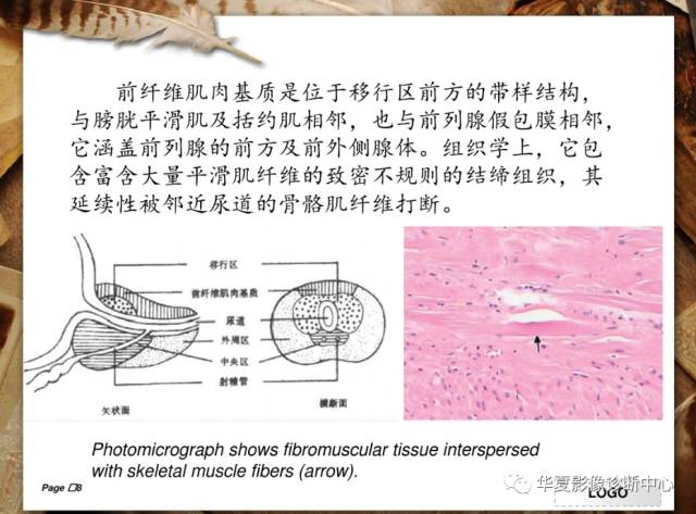 【PPT】