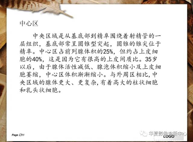 【PPT】