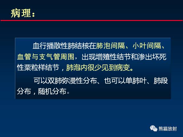 【PPT】肺结核的基础CT表现
