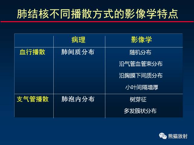 【PPT】肺结核的基础CT表现