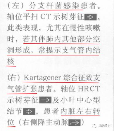 【书摘】“树芽征”的鉴别诊断