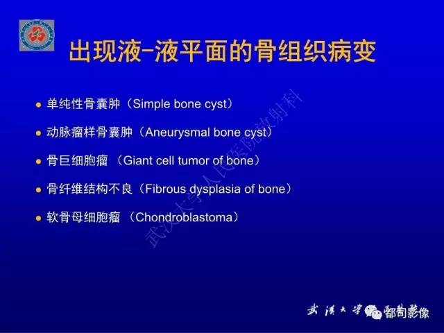 【PPT】含液-液平面骨病变影像诊断