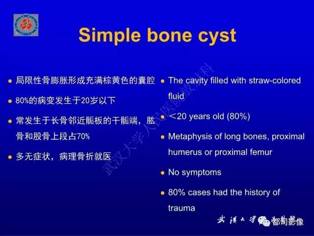 【PPT】含液-液平面骨病变影像诊断