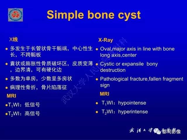 【PPT】含液-液平面骨病变影像诊断