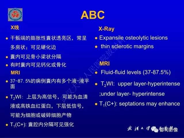 【PPT】含液-液平面骨病变影像诊断