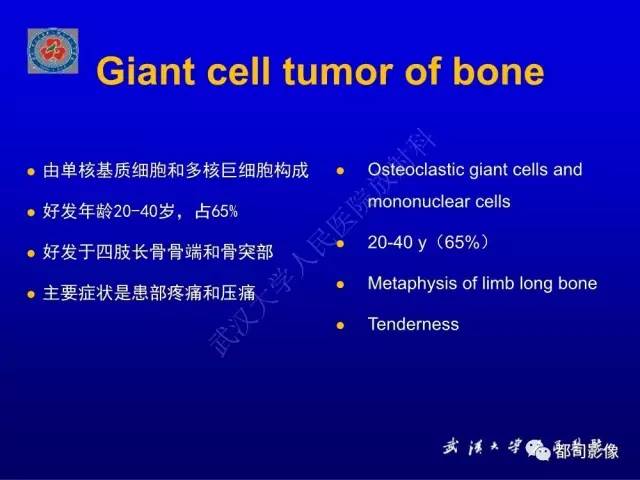 【PPT】含液-液平面骨病变影像诊断