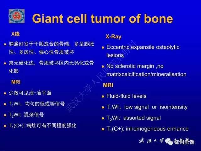 【PPT】含液-液平面骨病变影像诊断