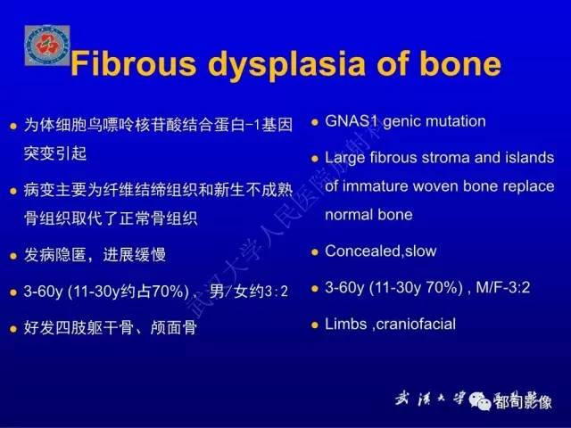 【PPT】含液-液平面骨病变影像诊断