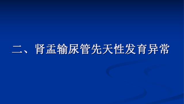 【PPT】泌尿系先天性发育异常的CT诊断