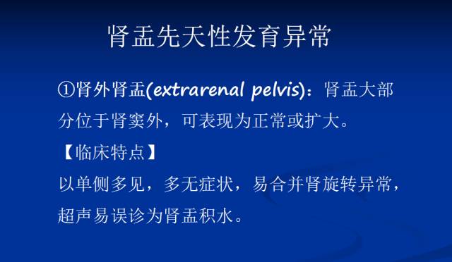 【PPT】泌尿系先天性发育异常的CT诊断
