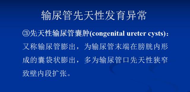 【PPT】泌尿系先天性发育异常的CT诊断