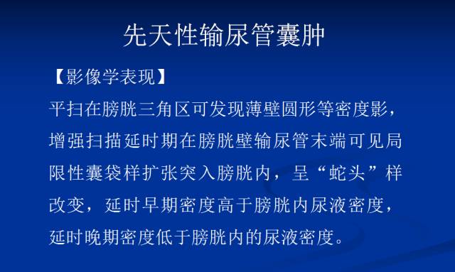 【PPT】泌尿系先天性发育异常的CT诊断