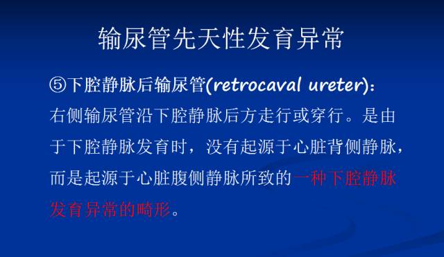 【PPT】泌尿系先天性发育异常的CT诊断