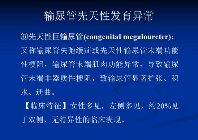 【PPT】泌尿系先天性发育异常的CT诊断