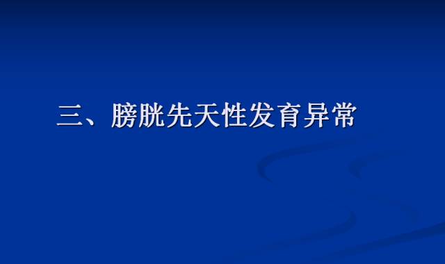 【PPT】泌尿系先天性发育异常的CT诊断