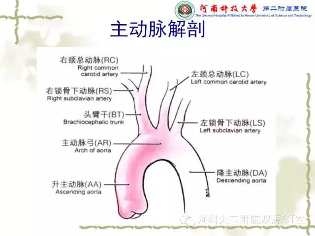 【PPT】循环系统影像学之——主动脉疾病