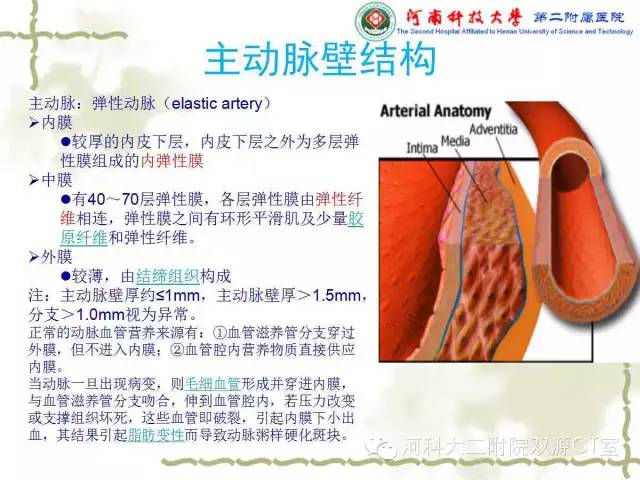 【PPT】循环系统影像学之——主动脉疾病