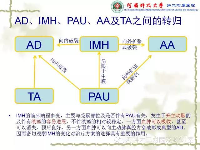 【PPT】循环系统影像学之——主动脉疾病