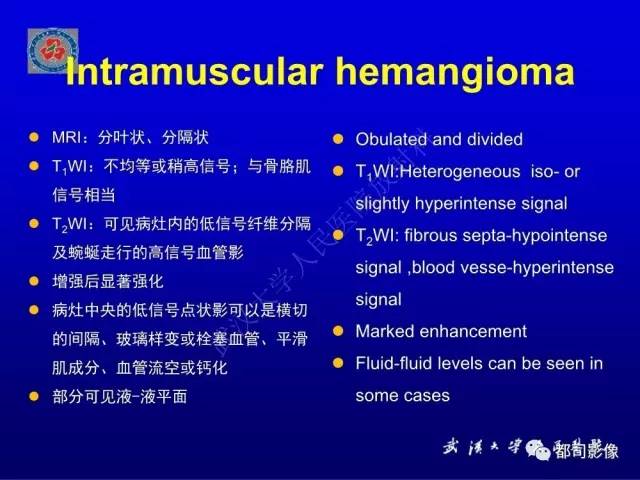 【PPT】含液-液平面软组织病变影像诊断