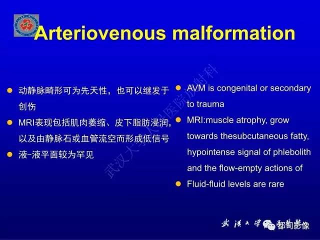 【PPT】含液-液平面软组织病变影像诊断