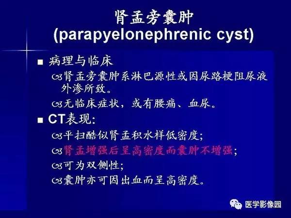 【PPT】肾脏常见病变的CT诊断