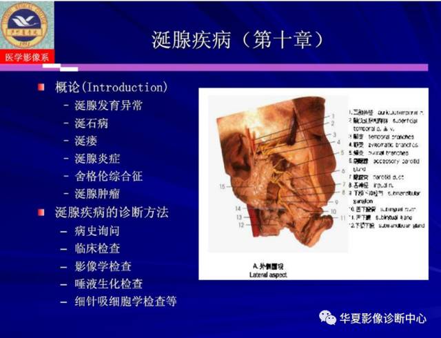 【PPT】涎腺疾病与颞下颌关节疾病影像诊断