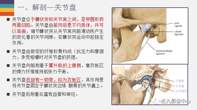 【PPT】颞颌关节病变的MR诊断