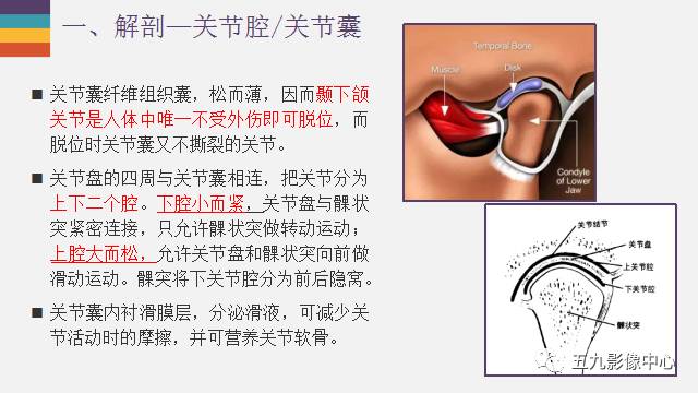 【PPT】颞颌关节病变的MR诊断