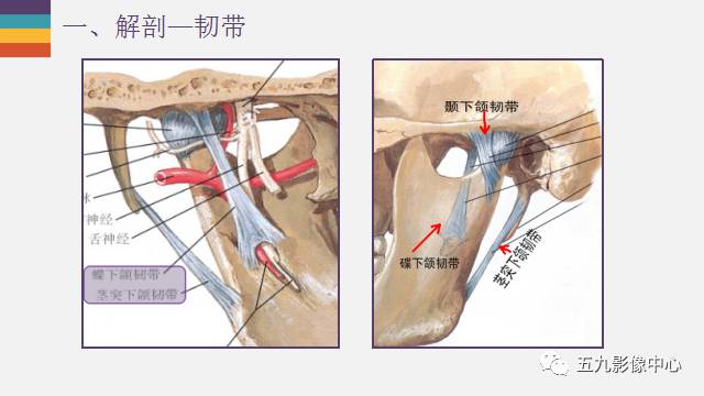 【PPT】颞颌关节病变的MR诊断