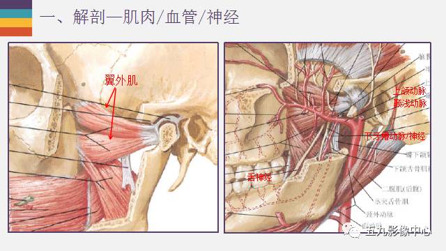 【PPT】颞颌关节病变的MR诊断