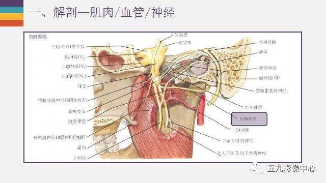 【PPT】颞颌关节病变的MR诊断