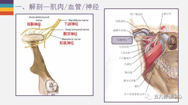 【PPT】颞颌关节病变的MR诊断