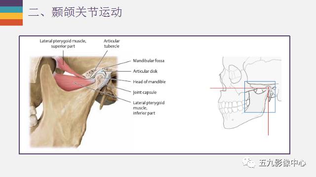 【PPT】颞颌关节病变的MR诊断