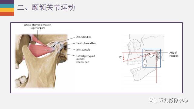 【PPT】颞颌关节病变的MR诊断