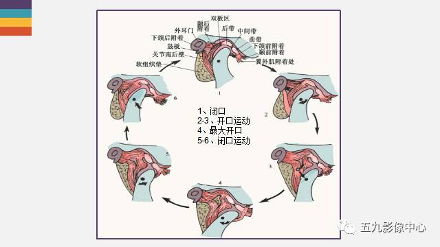 【PPT】颞颌关节病变的MR诊断