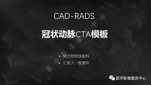 【PPT】CAD-RADS冠状动脉CTA模板