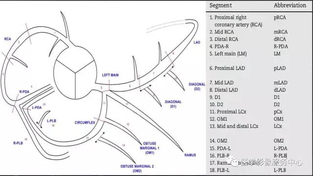 【PPT】CAD-RADS冠状动脉CTA模板
