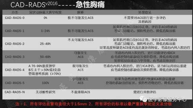 【PPT】CAD-RADS冠状动脉CTA模板
