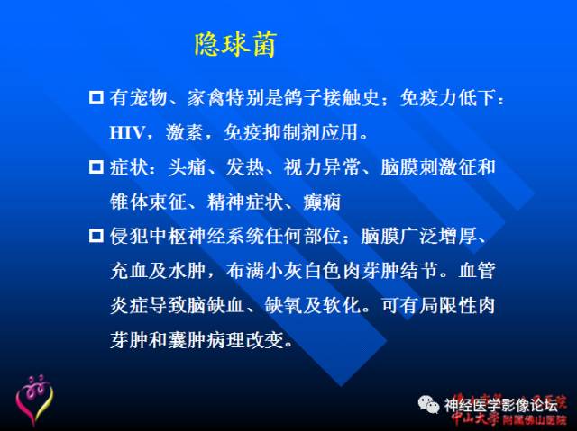 【病例】新型隐球菌脑膜脑炎1例MR