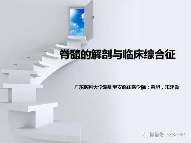 【PPT】脊髓的解剖与临床综合征