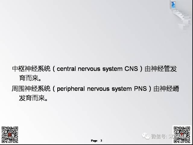 【PPT】脊髓的解剖与临床综合征