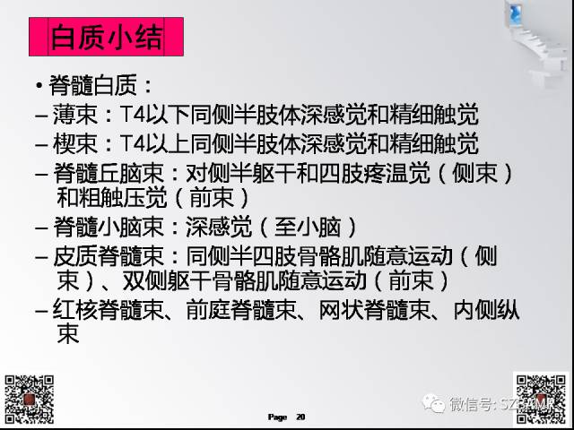 【PPT】脊髓的解剖与临床综合征
