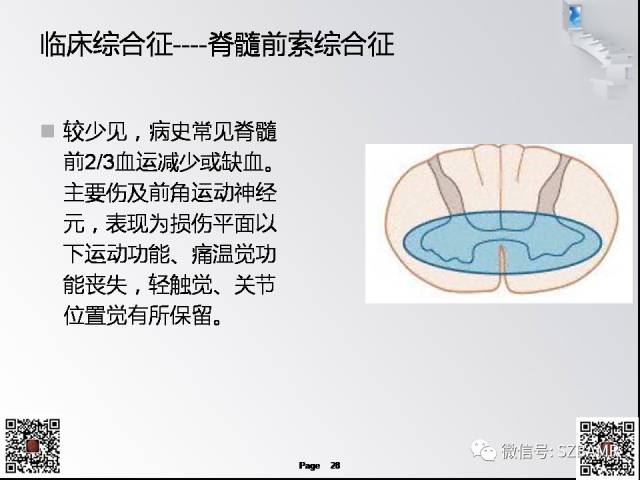 【PPT】脊髓的解剖与临床综合征