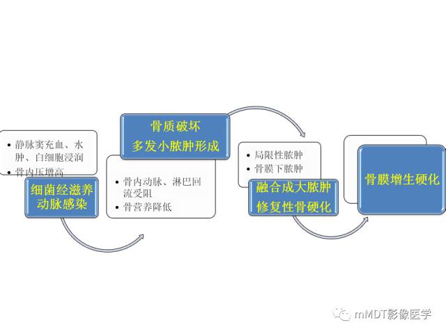 【PPT】骨感染性病变的诊断思路