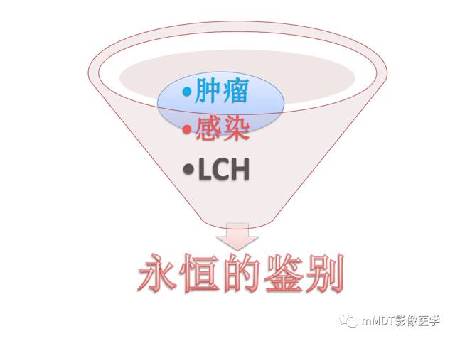 【PPT】骨感染性病变的诊断思路