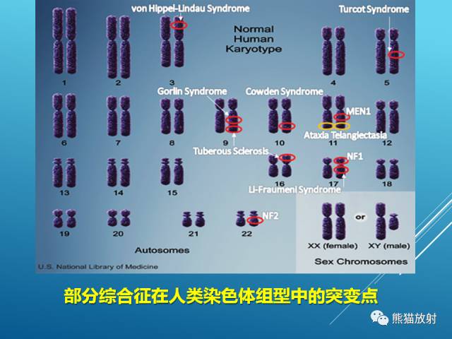 【PPT】中枢神经系统肿瘤相关的遗传综合征 【PPT】中枢神经系统肿瘤相关的遗传综合征