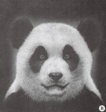 “中脑熊猫脸征”的影像诊断意义 “中脑熊猫脸征”的影像诊断意义
