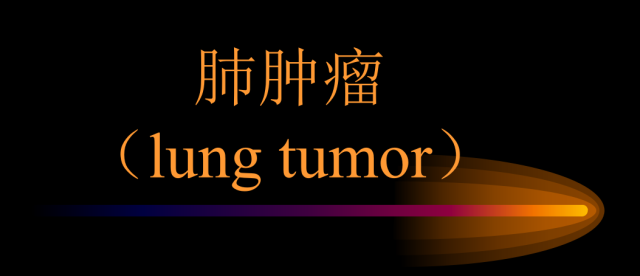 【PPT】肺肿瘤