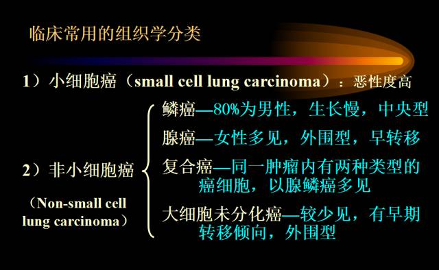 【PPT】肺肿瘤